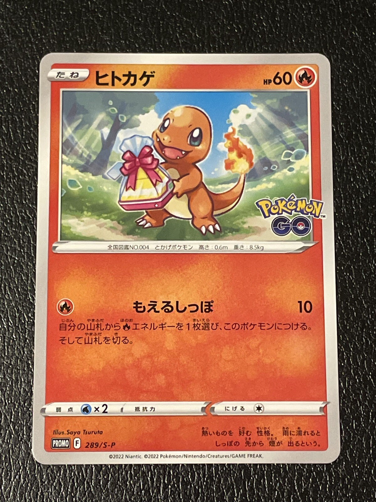 Charmander 289/S-P Mint Promo Pokemon Go