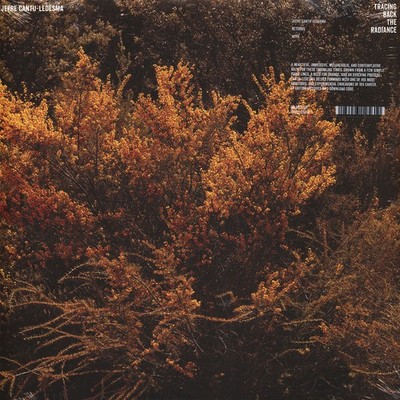 Jefre Cantu-Ledesma - Tracing Back The Radianc (Vinyl LP - 2019 - EU - Original)