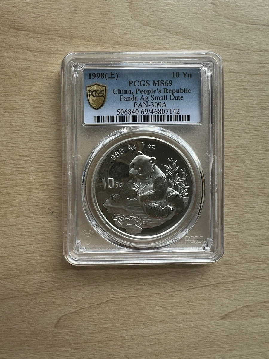 1998 Silver Panda for sale | eBay