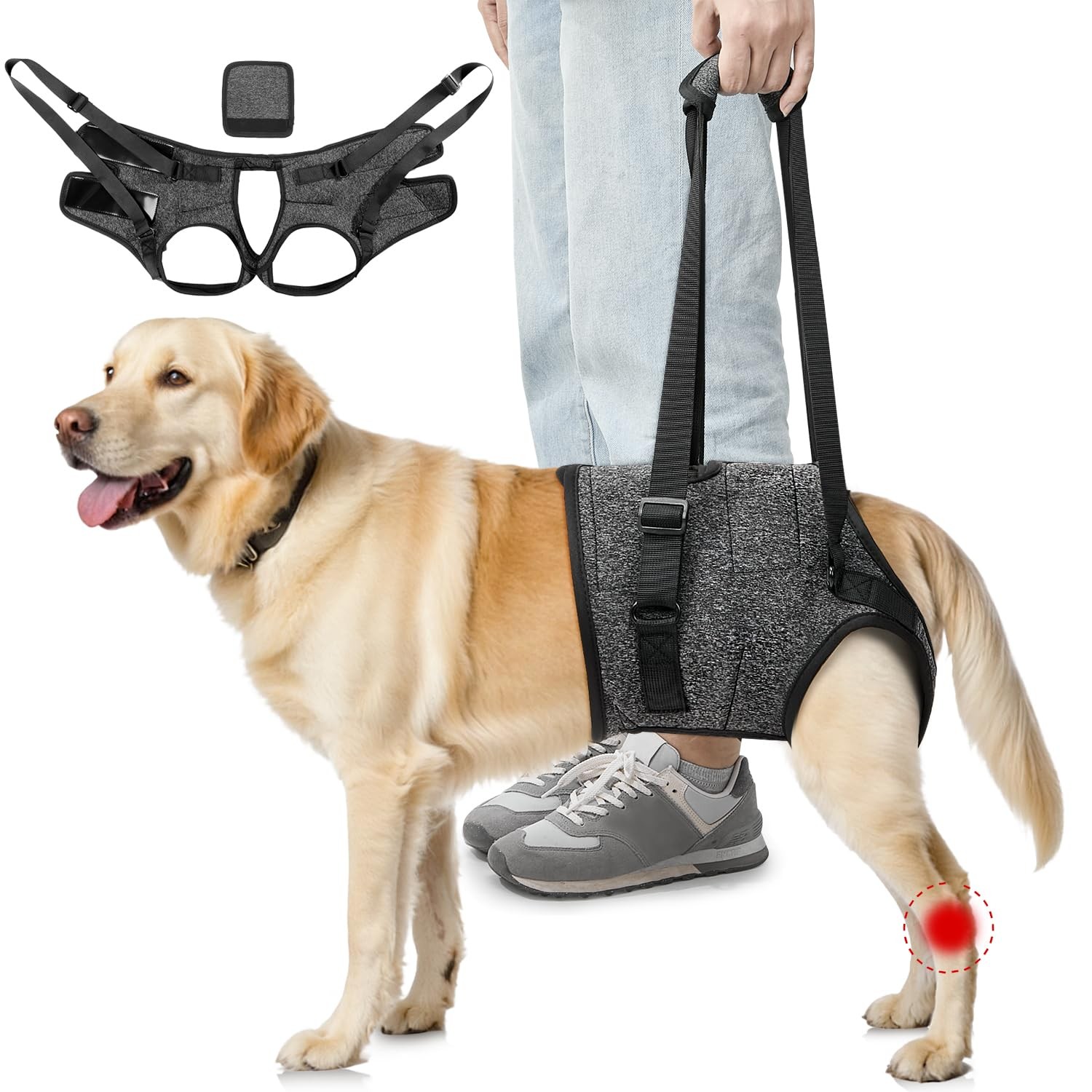 Harnais de levage arrière pour chien moyen avec poignée matelassée et sangles réglables noires