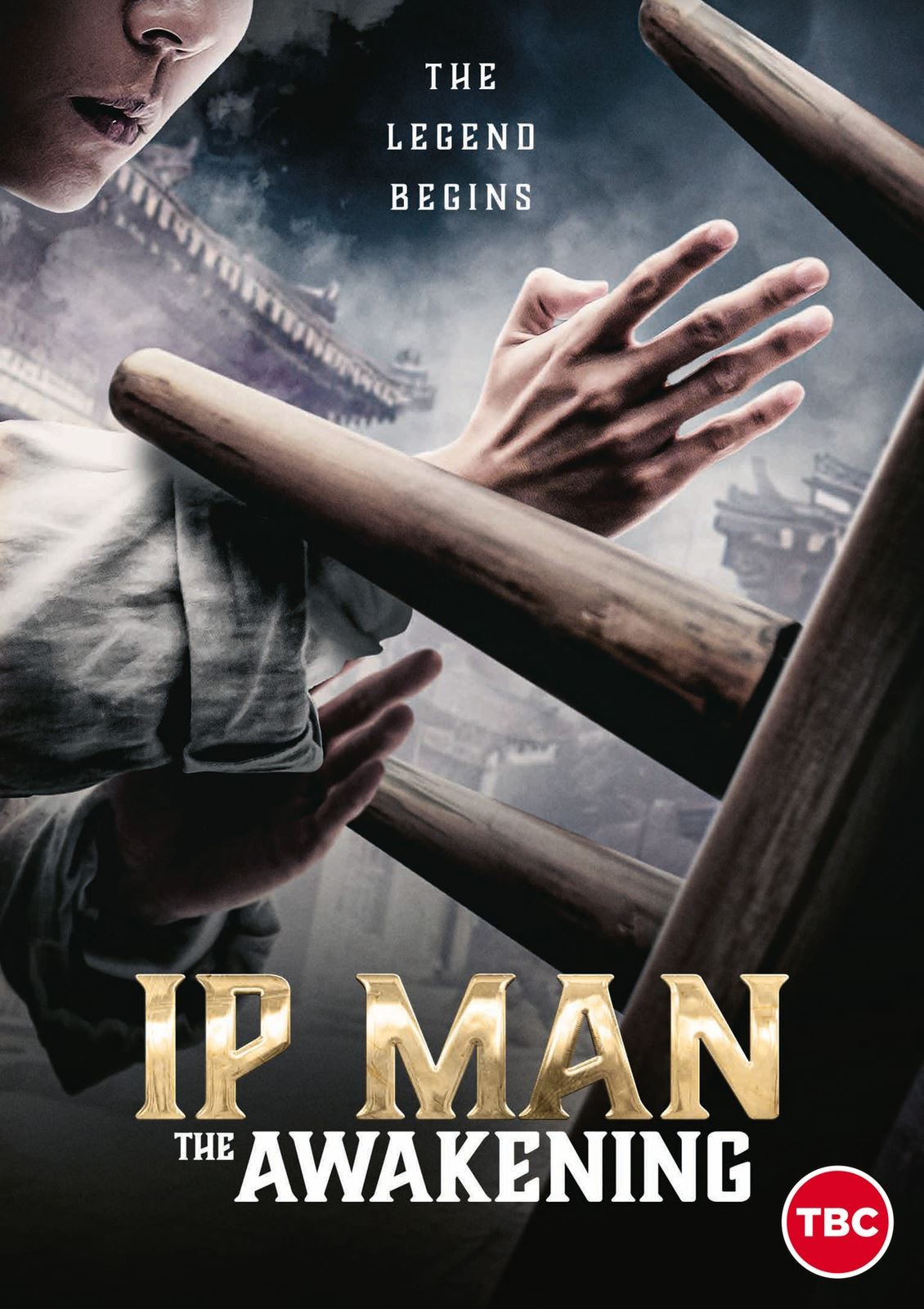 Ip Man: The Awakening [15] DVD - Image 2