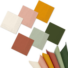 120 Sheet Modern Boho Cocktail Napkin 6 Colors Fall Paper Napkins 2 Ply Sage Gre