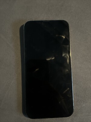 iPhone 13 Pro Max (tik Tok Installed)