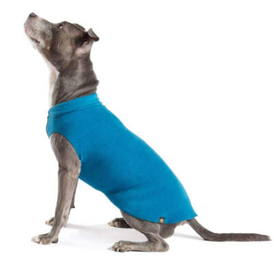 Hundepullover Goldpaw Stretch Fleece Petrol