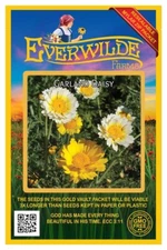 2000 Garland Daisy Wildflower Seeds - Everwilde Farms Mylar Seed Packet