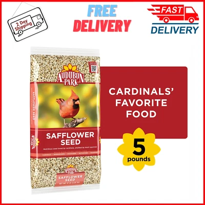 Audubon Park Safflower Seed Wild Bird Food, 5 lb. Bag - Free & Fast Shipping