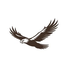 Flying Eagle Vinyl Decal Window Wilf Bird Life Laptop Sticker Flying Eagle Vinyl Decal Window Wilf Bird Life Laptop Sticker