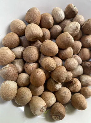 Premium Ceylon Betel Nut | Natural Areca Nut | Fresh Whole Nuts 25g - 300g