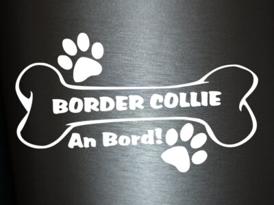 Plott Aufkleber Hundeknochen Border Collie An Bord Pfote Hund Dog Bone