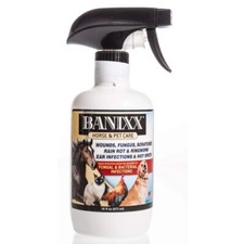 Banixx Fungal  Bacterial Infections Spray Pet Care