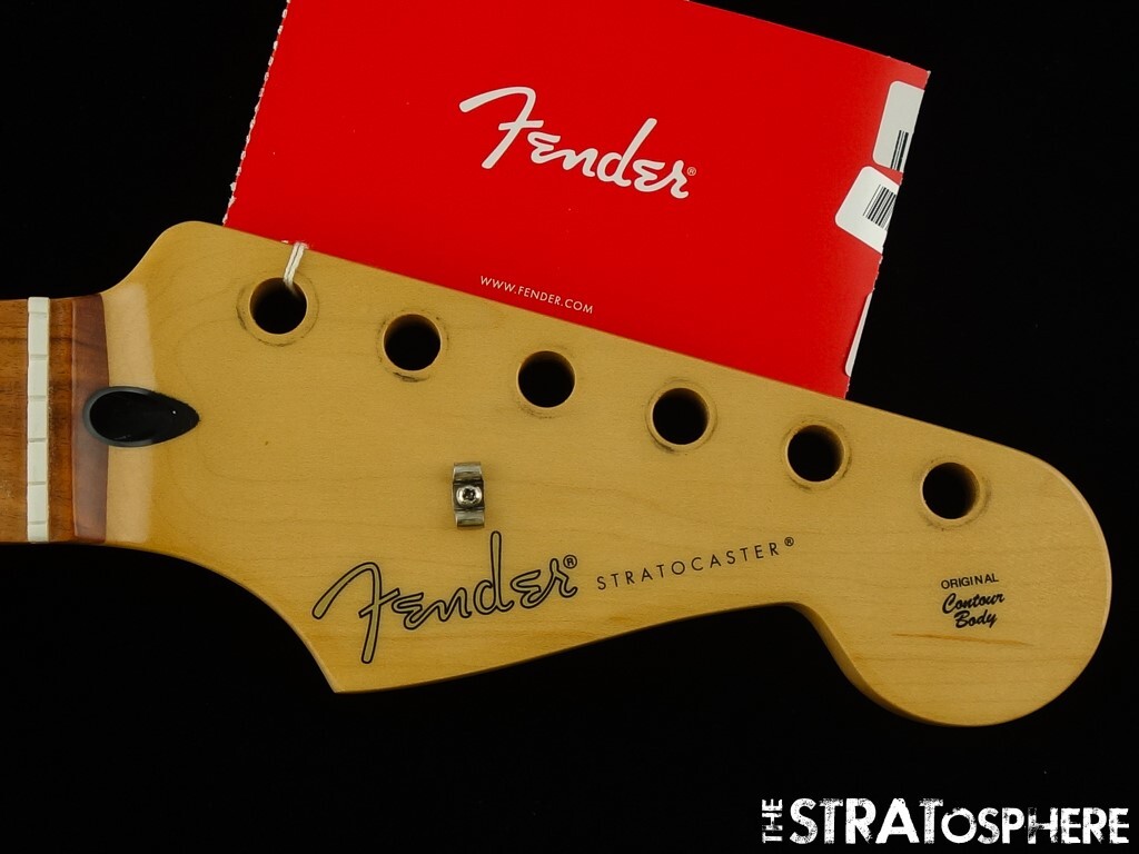 Fender Player Series Stratocaster Strat, NECK --Modern 