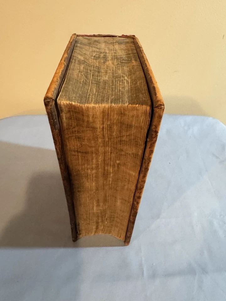 Antique Full Leather XL Book 1856 “A Copious And Critical Latin-English Lexicon” - Image 4 of 4
