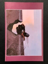 The Amazing Spider-Man (Spiderman ASM) #800 1:100 MOEBIUS VIRGIN VARIANT