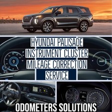 Hyundai Palisade Mileage Correction Service. All Years