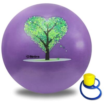 Yoga Ball Chair & Birthing Ball with Sand Base for Maximum Stability - Exerci...