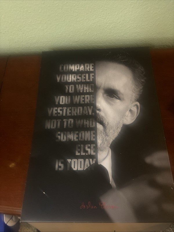Displate Jordan B Peterson Metal Poster 12 3/8” X 17 3/4”