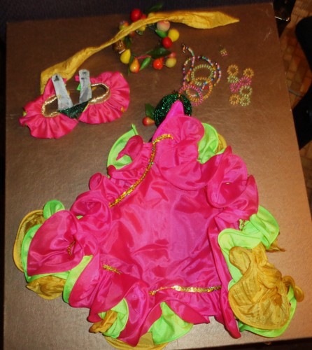 DESIGNER FUN RIO MARDI GRAS,CHARRO PAGEANT COSTUME-ELLOWYNNE,SYDNEY,BETTE,ETC- - Picture 10 of 10