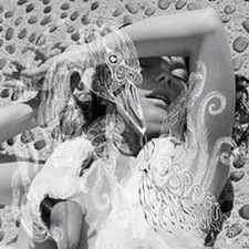 Vespertine by Bjork Cassette, 2019 