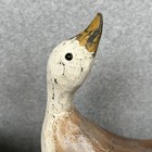 Picture 5 of 16