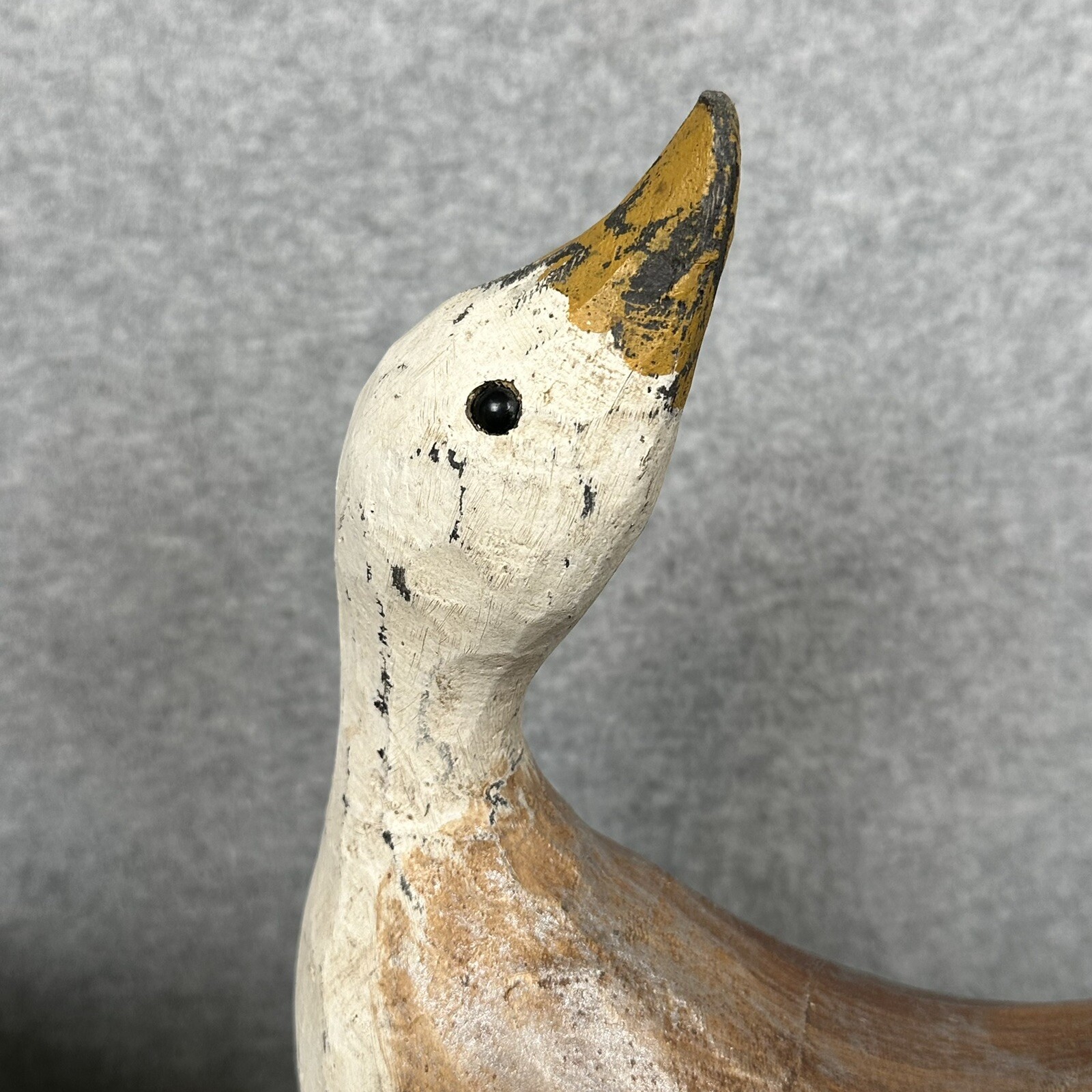 Picture 5 of 16