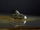 Foto 10 di 10