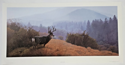 Daniel Smith Autumn Haze Mule Deer Signed & Numbered Lithograph #650/650 w/COA