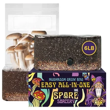 6 lb All-in-One Mushroom Grow Kit In Bag (Spores Not Included)