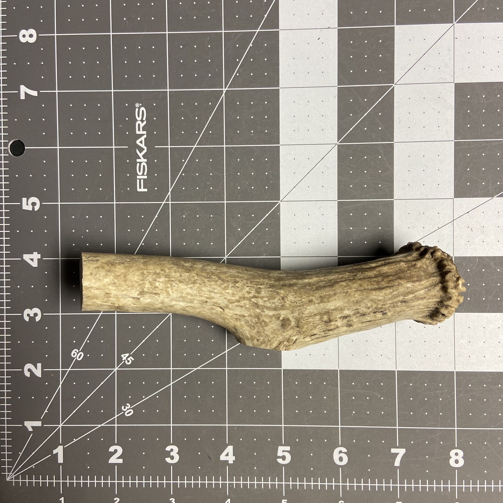 Whitetail Deer Antler Base knife handle Blanks / sheds antlers