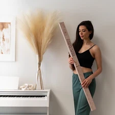 5 Stems of Extra Large Silk Faux Pampas Grass (43”/110cm-Beige)