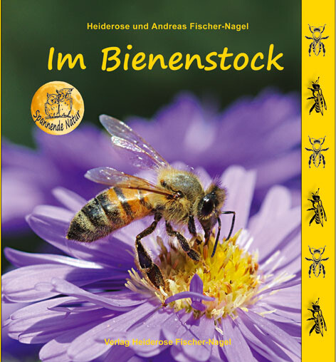 Thumbnail - Heiderose Fischer-nagel; Andreas Fischer-nagel / Bienenstock