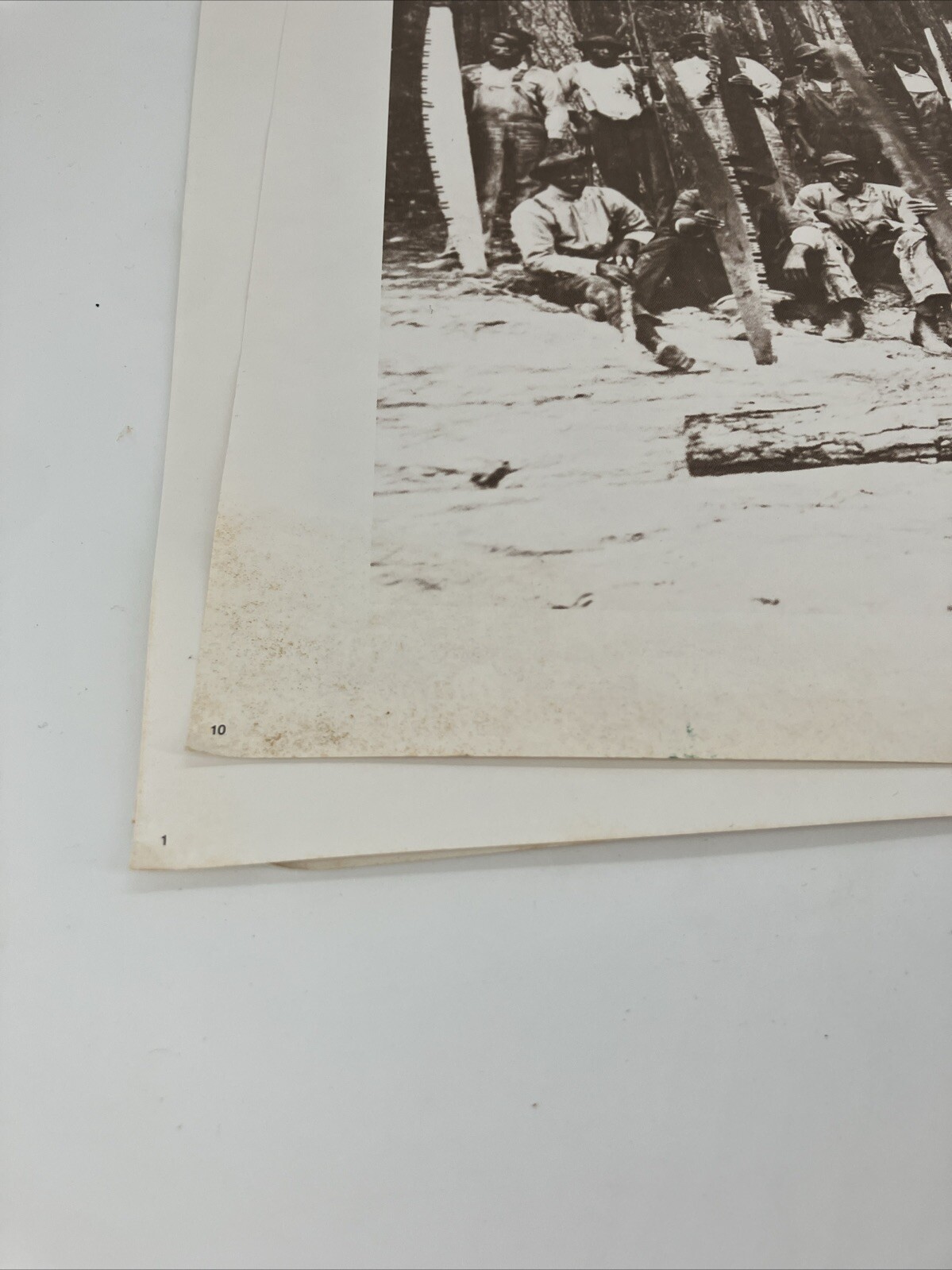 Lot Georgia Pacific Historical Museum 1880-1920 Glory Days Logging Photographs