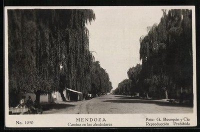 Ansichtskarte Mendoza, Camino en los alrededores 