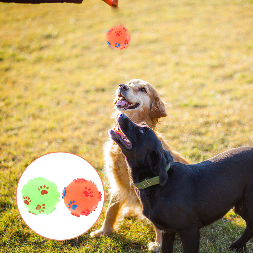 5pcs Pet Toy Puppy Chewing Toys Puppy Squeaky Toys Pet Sound Toys