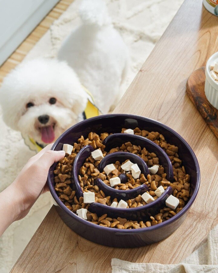 buy kong dog toys online KONG Classic Dog Toy  PetFoodStation