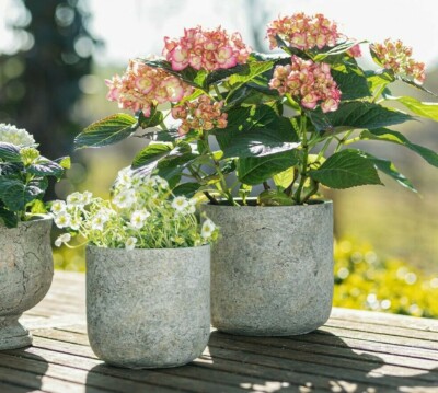 Blumentopf Pflanzer "Stone" 2er Set Pflanztopf Pflanzgef | eBay.de