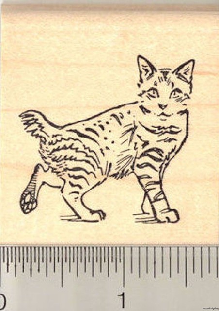 Christmas Grumpy Cat Reindeer Rubber Stamp G23005 WM