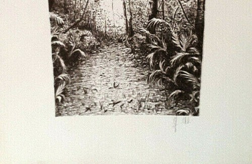 Guglielminotti Ali Aquaforte Bosco year 1988 signed (35 x 25 cm) - Picture 3 of 4