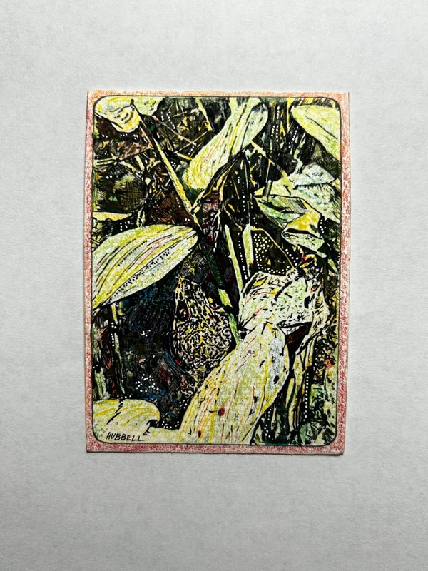 ACEO Original Miniature Ink/Colored Pencil, Frog Pond, ATC Artist Trading Card