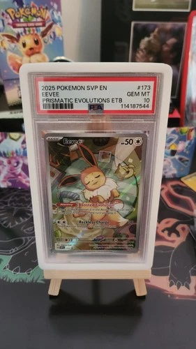 Pokemon PSA 10 Eevee 173 Sv Scarlet & Violet Promo Holo English with Guard