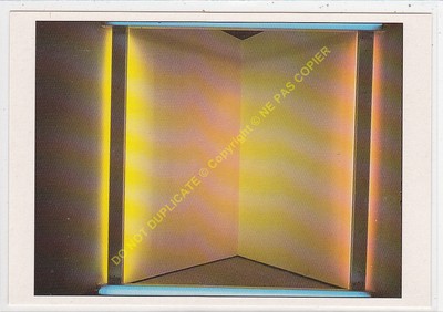 CP Armaturenbrett Dan Flavin A