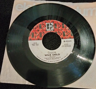 THE DOORS TOUCH ME / WILD CHILD 7'' SINGLE 45RPM VINYL ELEKTRA RECORDS EK-45646
