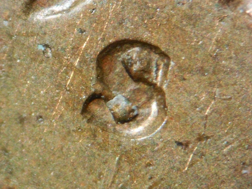 HIGH GRADE MINT ERROR 1948-S  LINCOLN WHEAT CENT RPM#2  XF