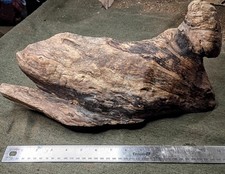 Natural Figured Maple Burl Sculpture Carving Blank Live Edge 16 x 6 x 2.5