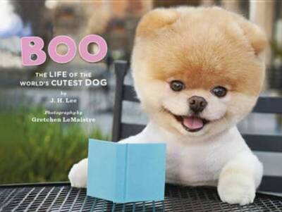Boo: The Life of the World's Cutest Dog - Hardcover By Lee, J. H. - GOOD