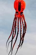 Giant 12M Octopus Kite Single Line Soft Inflatable KITE 30D Ripstop Nylon W/Bag