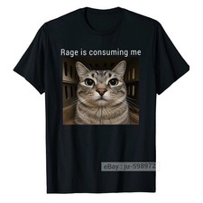 Rage is Consuming Me Silly Staring Cat Meme T-Shirt Cat Lover Graphic unisex tee