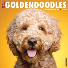 Goldendoodles 2026 12 X 12 Wall Calendar (Bookbook - Detail Unspecified)