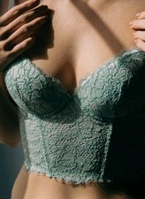Nwt Cosabella Pret A Porter Padded Floral Lace Bustier Top Green Size 36D