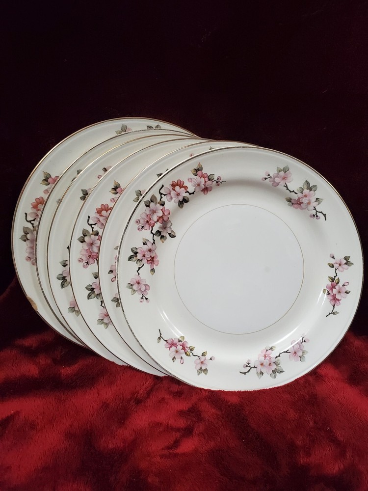 Vintage Homer Laughlin Apple Blossom Nautilus Egg Shell Plates set of 6