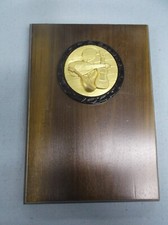 music string instruments award 5 x 7 walnut plaque award